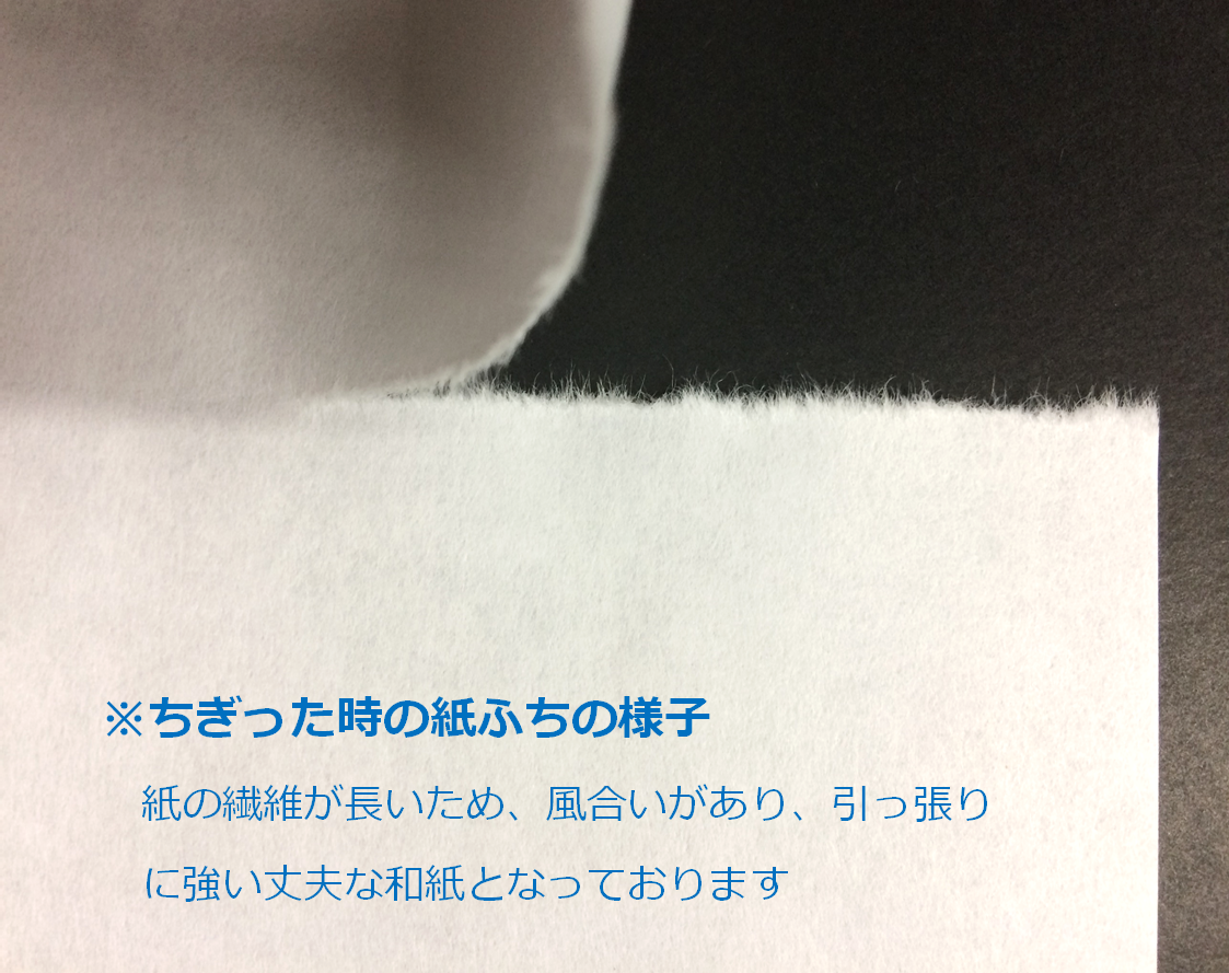 奉書紙 和紙 コピー用紙 A4 伊予産 便箋 写経 プリンター用紙 謝辞 式辞 25枚 55002