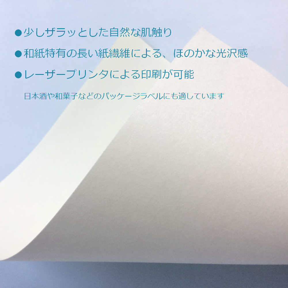 障子 補修 シール 和紙 ふすま紙 A4 印刷 工作 ラベル