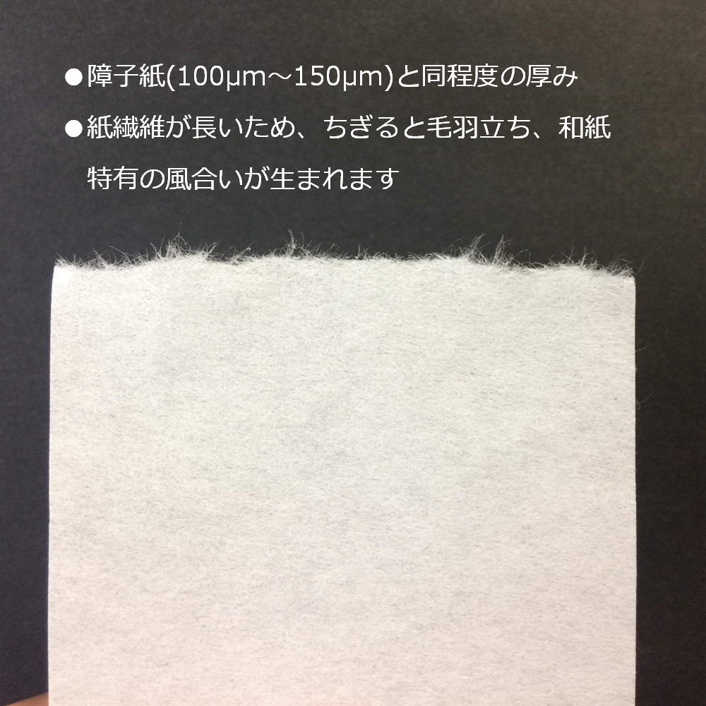 障子 補修 シール 和紙 ふすま紙 A4 印刷 工作 ラベル