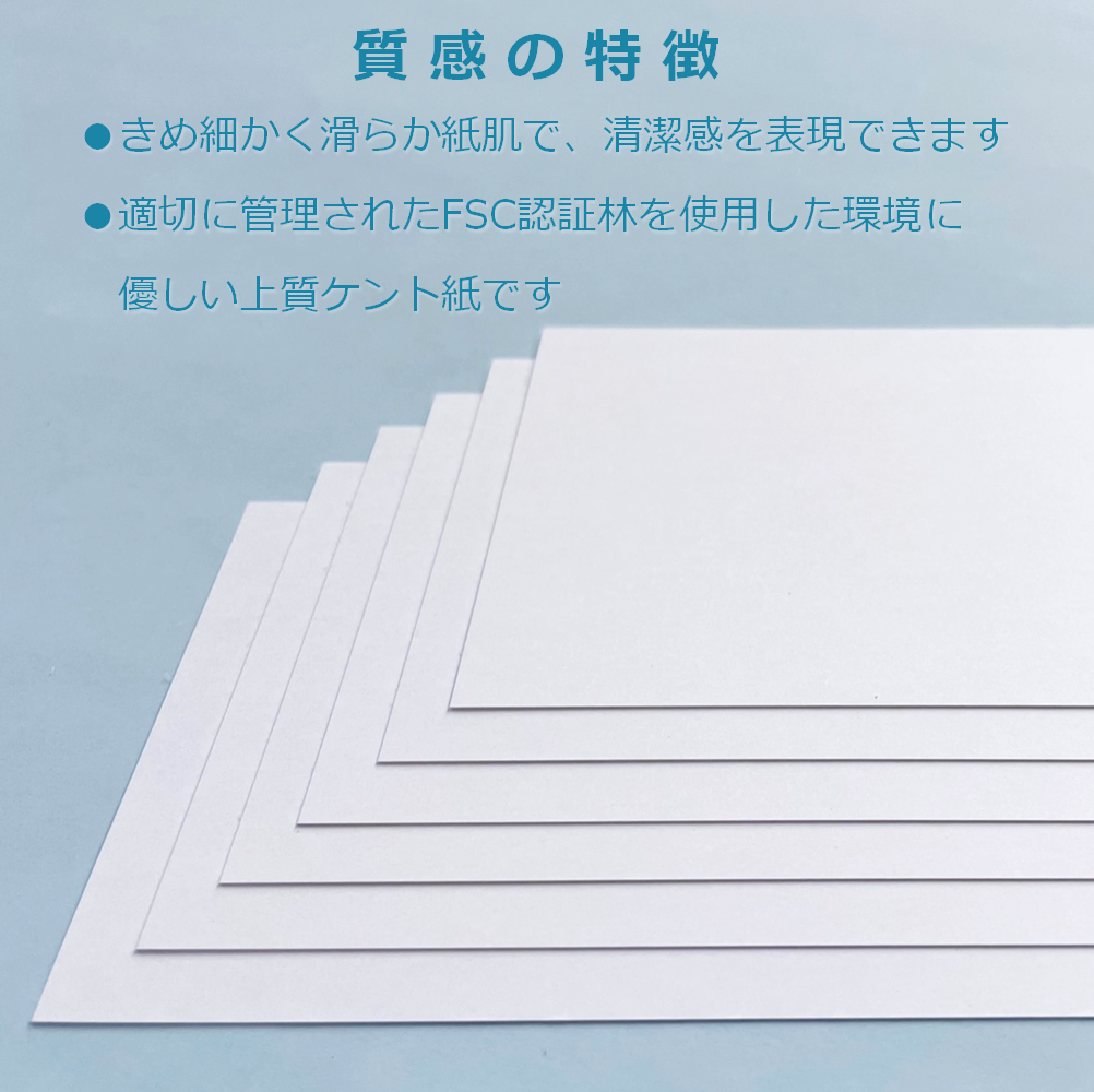ホワイト メッセージ カード 白 無地 名刺 タグ ミニ