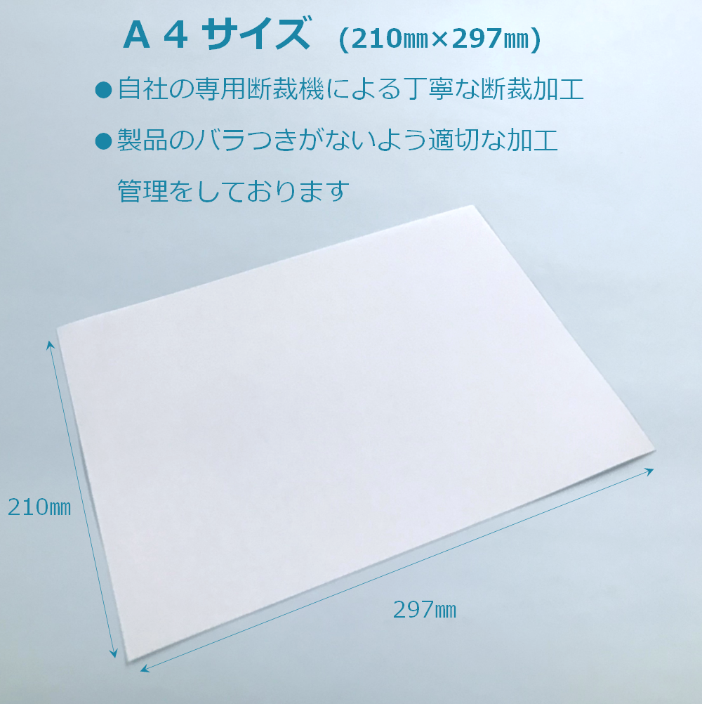 プリント用 不織布 A4 ゼッケン レーザープリンタ ワッペン 布 クロス