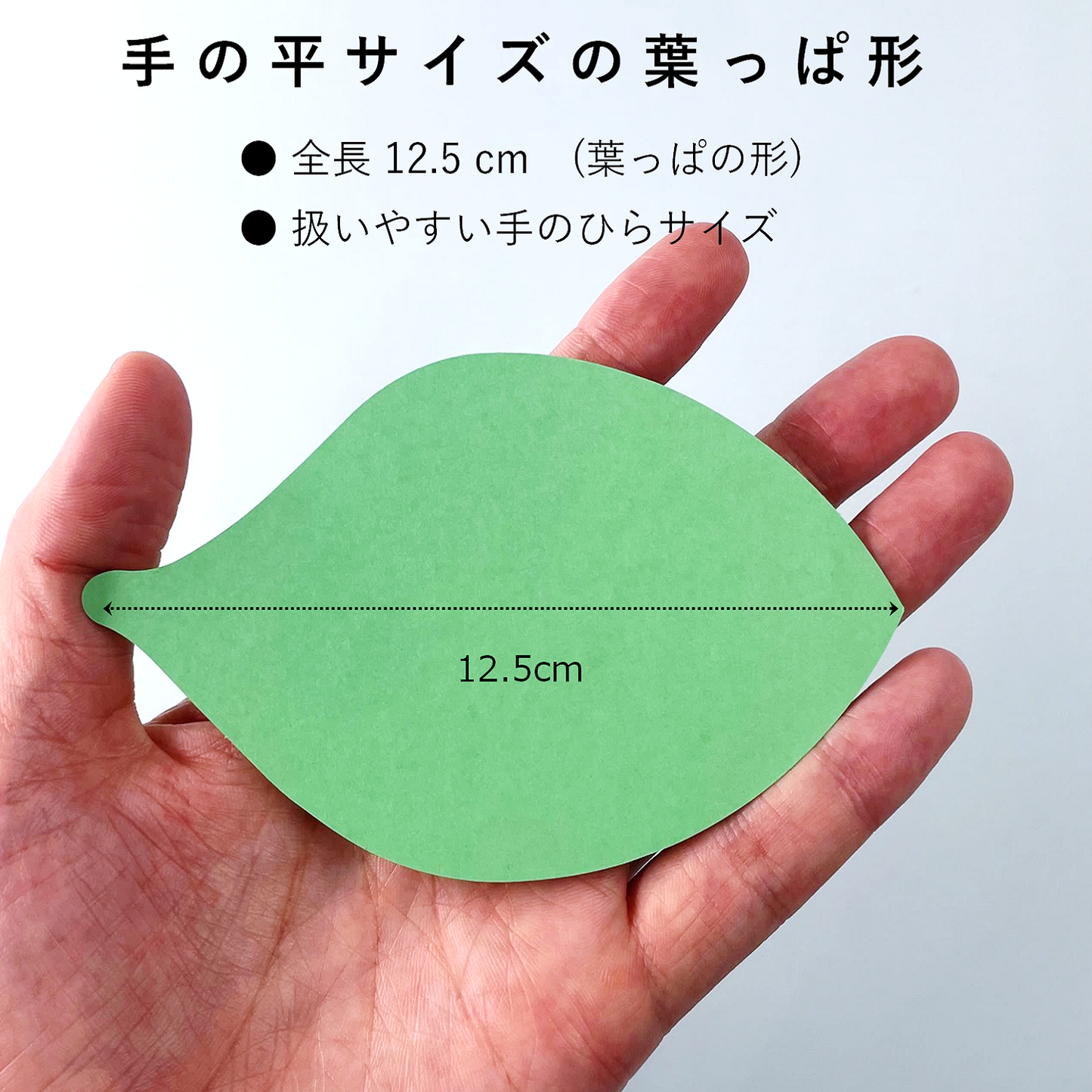 葉っぱのかたち カード 厚紙 2色 ディスプレイ POP 値札 メッセージカード