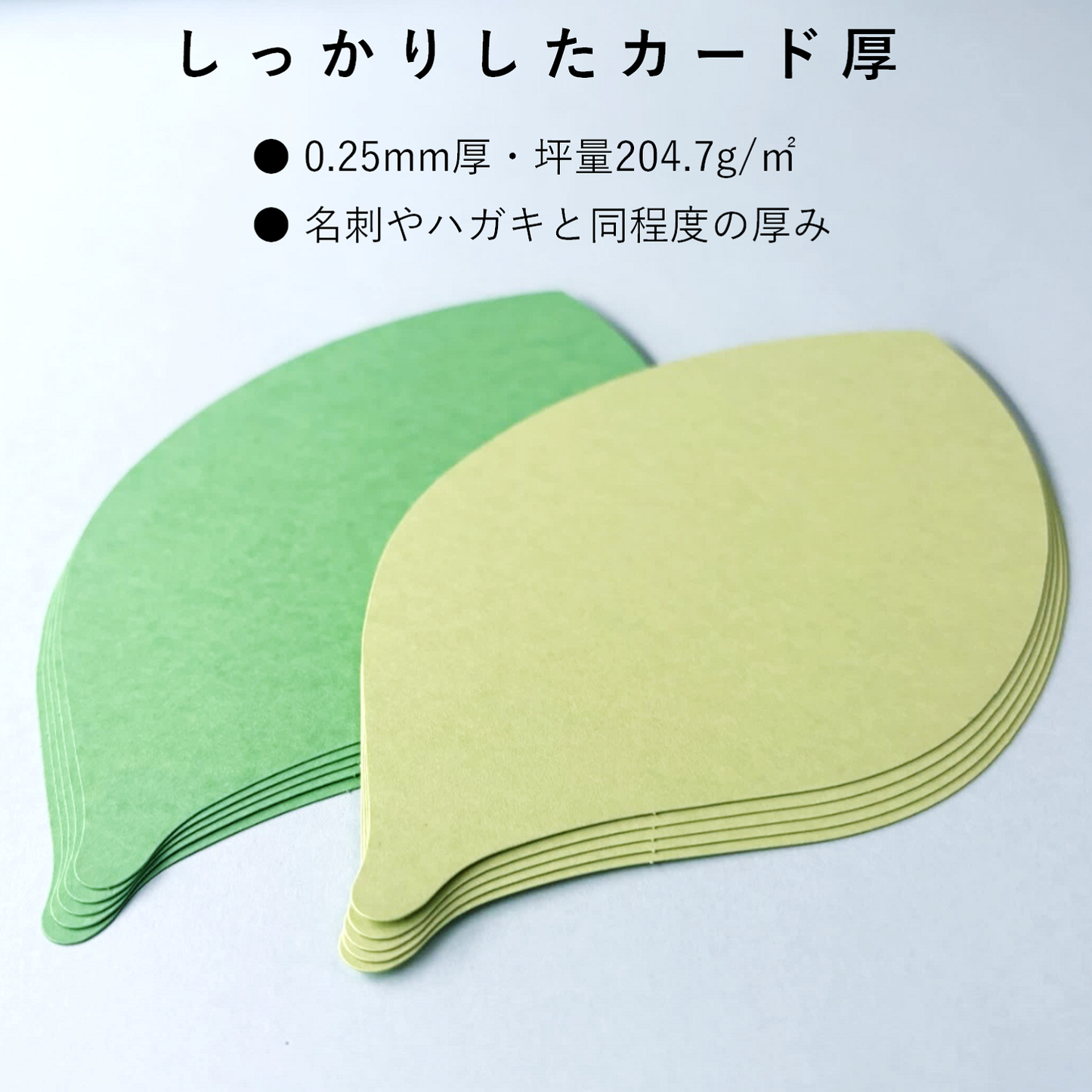 葉っぱのかたち カード 厚紙 2色 ディスプレイ POP 値札 メッセージカード