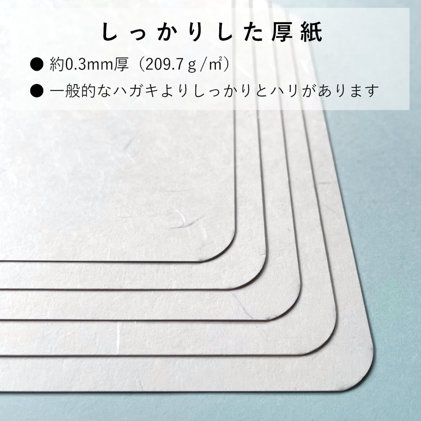 挨拶状 招待状 ハガキサイズ 和紙 模様 しこくてんれい 案内状