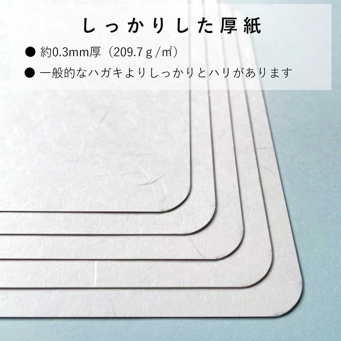 挨拶状 招待状 二つ折り カード 和紙 模様 しこくてんれい 案内状