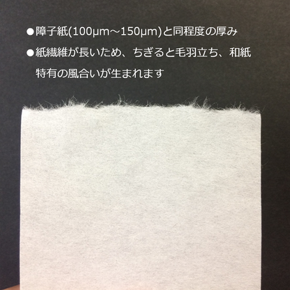障子 補修 シール 和紙 ふすま紙 A4 印刷 工作 ラベル