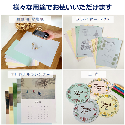 カラー コピー用紙 A4 パステル 5色 特厚口 50枚 色上質紙 工作 撮影用 背景紙 55159