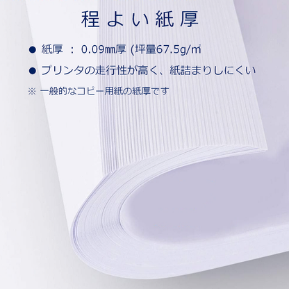 コピー用紙 B5 300枚 日本製 白色度87% 紙厚0.09mm 植林木パルプ 55181