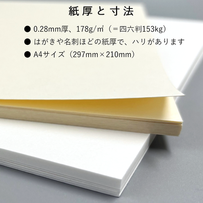 マーメイド 紙 ナチュラル A4 153kg 厚さ0.28mm 画用紙 水彩 プリント 工作